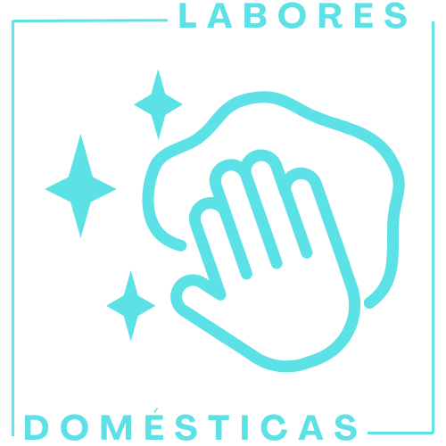 Labores Domésticas